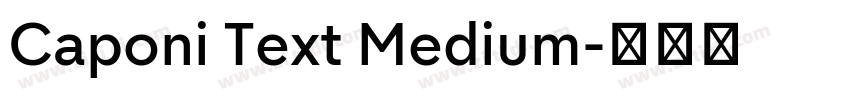 Caponi Text Medium字体转换
